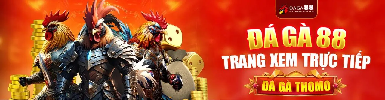 Sân đấu đá gà kịch tính tại 456win Casino
