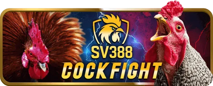 Biện pháp bảo mật tài khoản 456win casino